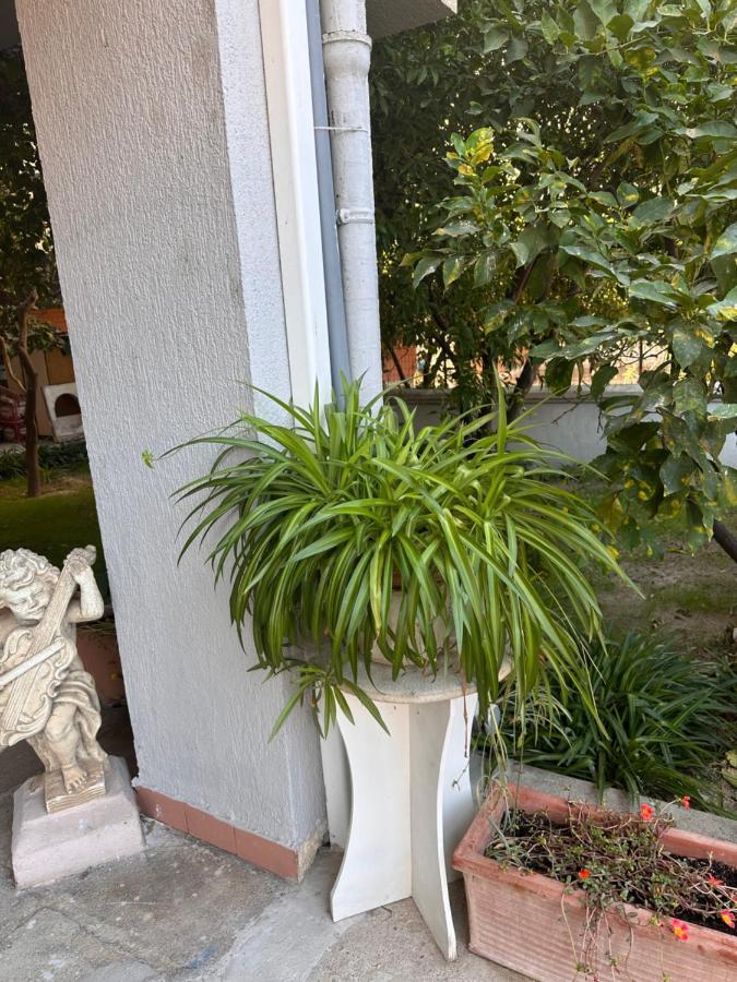 Ajoaolbia B&B Екстер'єр фото